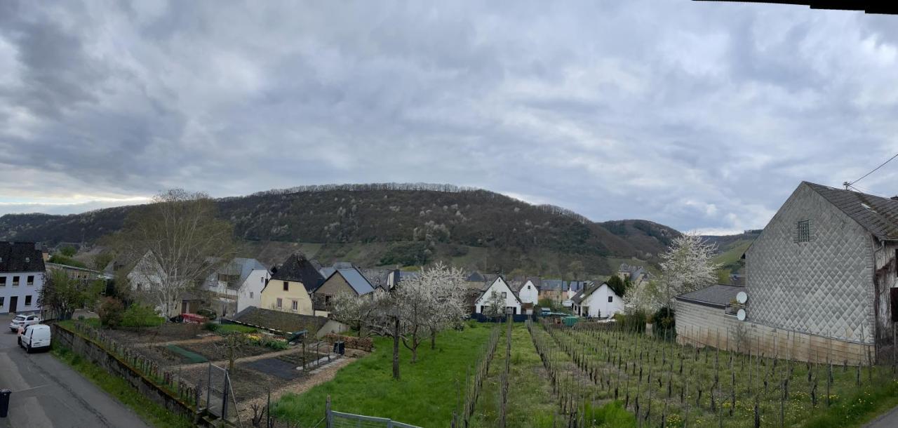 Ferienwohnung " Wein Unter Palmen " Ноймаген-Дхрон Экстерьер фото